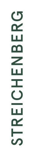 SB_Logo_Wortmarke_Solo_Green_RZ_RGB_small 1.png