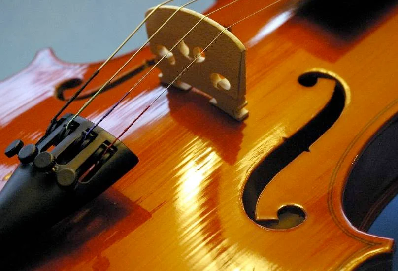 Armadillo Strings.webp