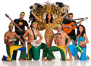 ACHE BRASIL