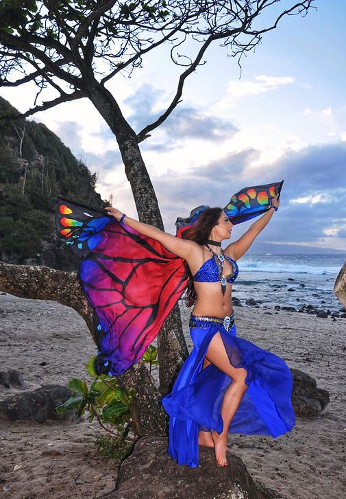 Bellydancer (van).jpeg
