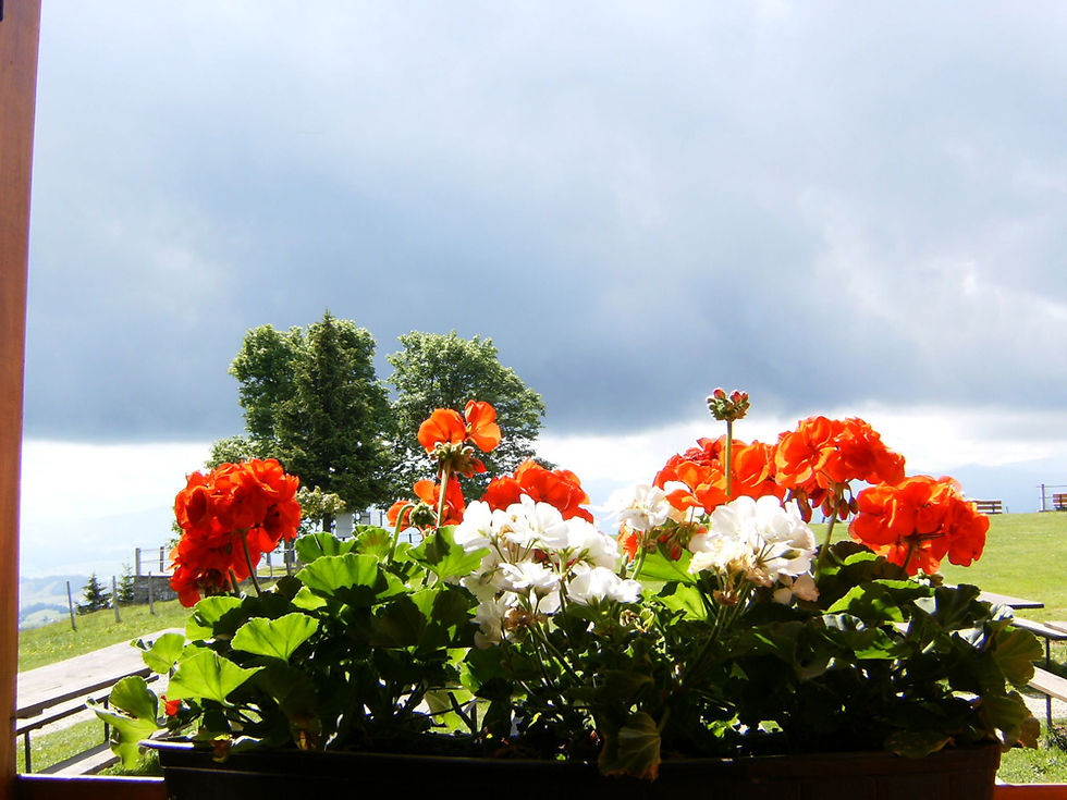 Sommer