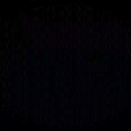 RinaSawayama-ThisHell-LyricVideo.gif