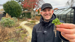 Winter Weeding: The Secret to a Weed-Free Garden in Spring
