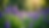 High angle view of a garden combining purple flowers with lush greenery