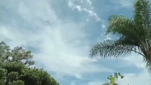 The day begins for a Chinese Herbal Doctor in the U.S.