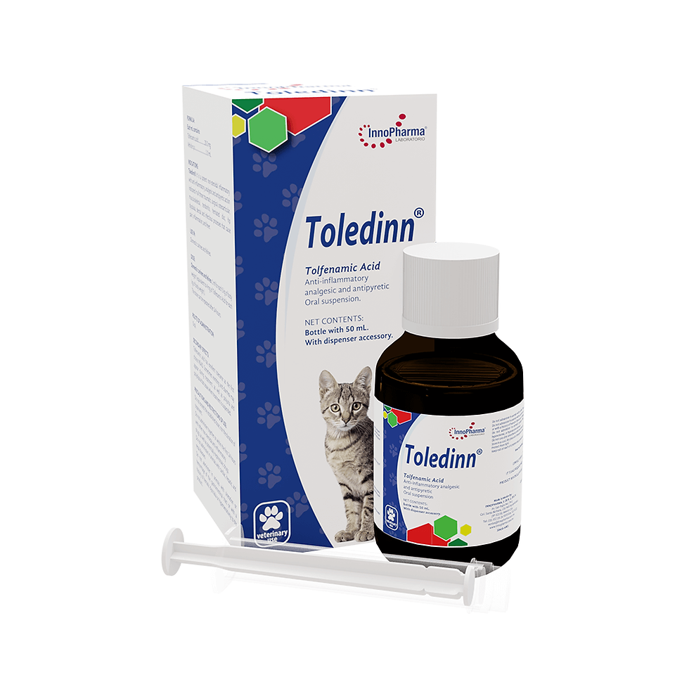 Miniatura: Toledinn®_