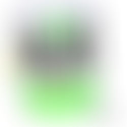 犬髖關節脫臼（Coxofemoral Luxation）｜Part III 手術治療篇