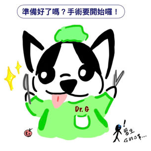 犬髖關節脫臼（Coxofemoral Luxation）｜Part III 手術治療篇