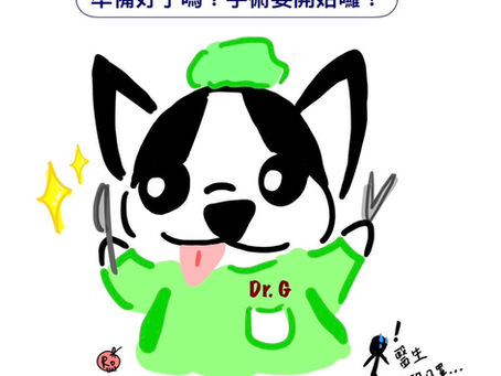 犬髖關節脫臼(Coxofemoral Luxation)|Part III 手術治療篇