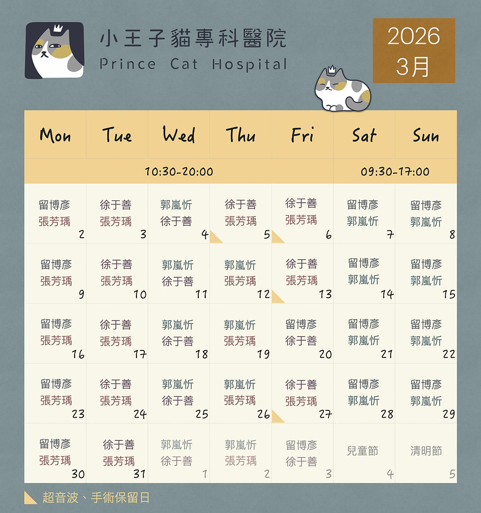 小王子貓專科醫院 / 3月份門診表