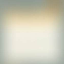 小王子貓專科醫院 / 03月份門診表