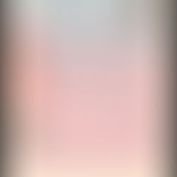 小王子動物醫院復健分院 / 2月份門診表