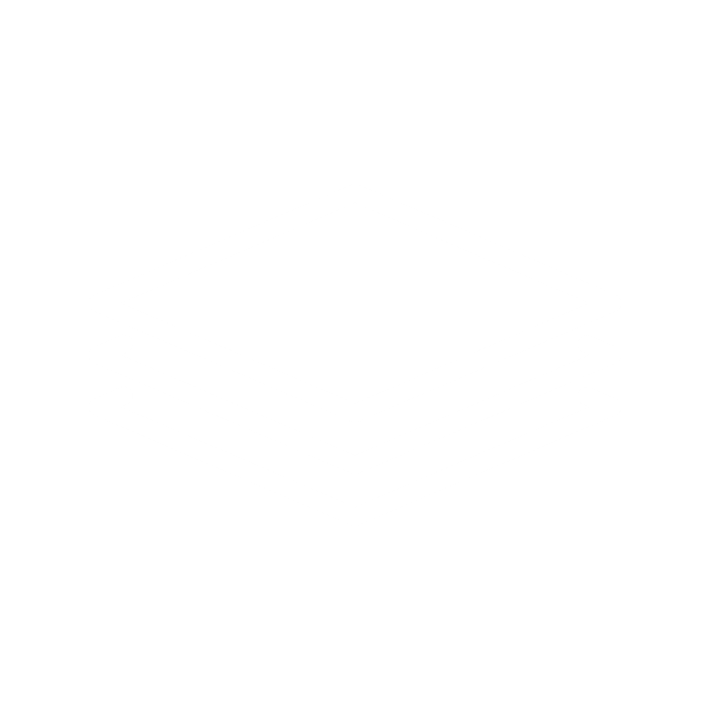 12-layes-outline.gif