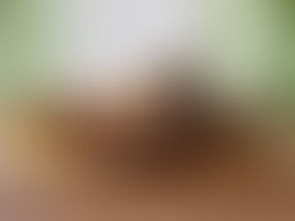 citromos kevert süti recept három változatban: mákos, diós, mandulás