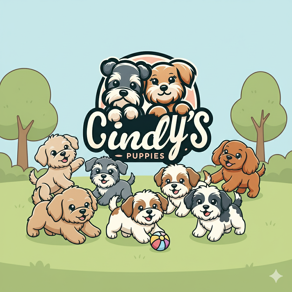 OpenGraph-Image (Social Preview)