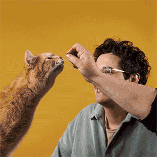 Making-of