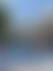 [경남지회 창원지부] 2025 신통일한국 피스로드 경남 창원시 진해구 통일대장정