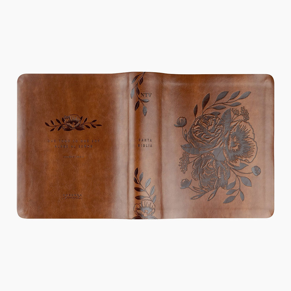 Thumbnail: NTV Spanish Notetaking Bible: Aurora Theme