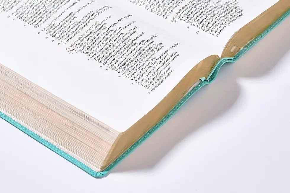 Thumbnail: NBLA Biblia Ama a Dios Grandemente, Interior a Cuatro Colores