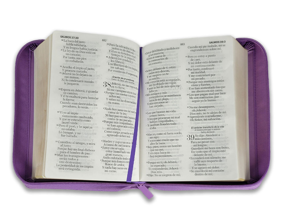 Thumbnail: Biblia con Cierre Compacta 11 puntos RV1960, imit piel lila
