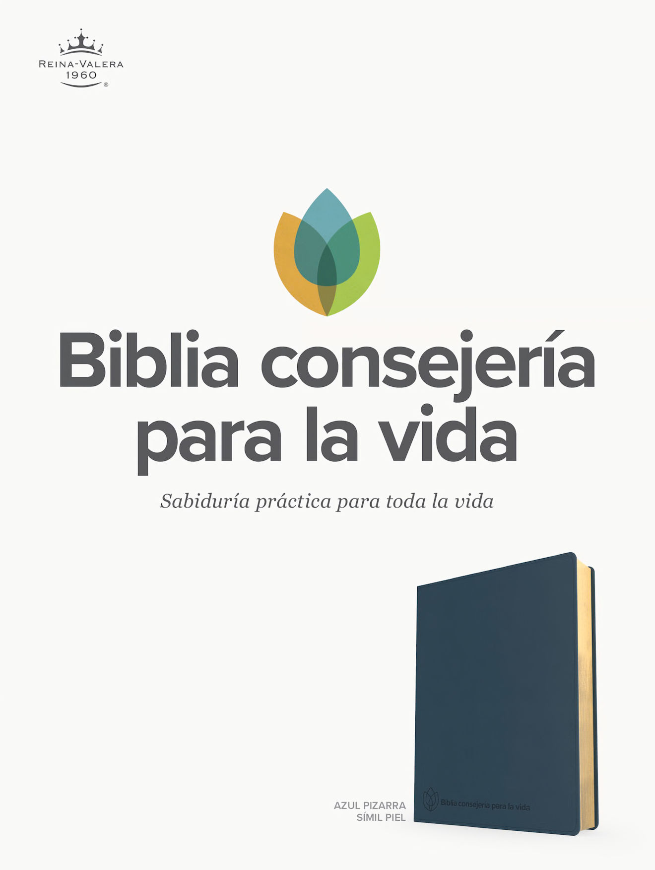 RVR 1960 Biblia de estudio Consejería para la vida, azul pizarra, símil piel