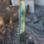 B72 - Easternstar Unnamed Validus