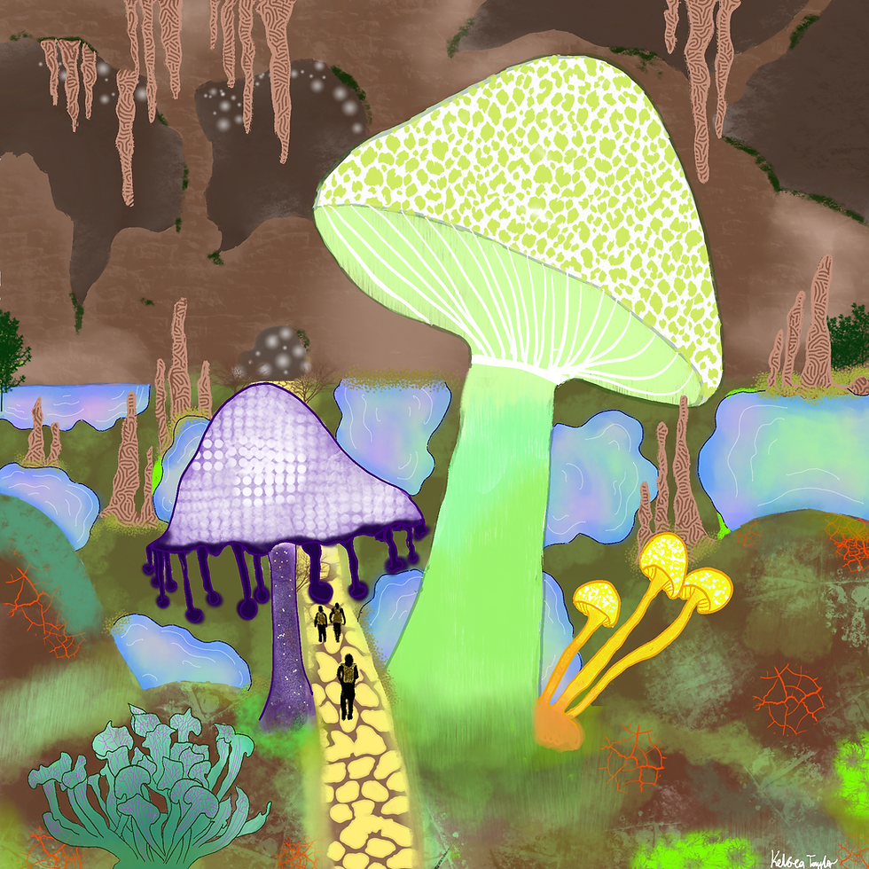 Drawing of scene out of the book