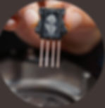 ree
