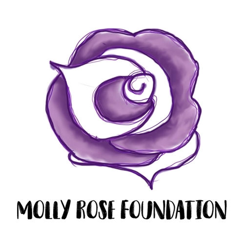 https://mollyrosefoundation.org/