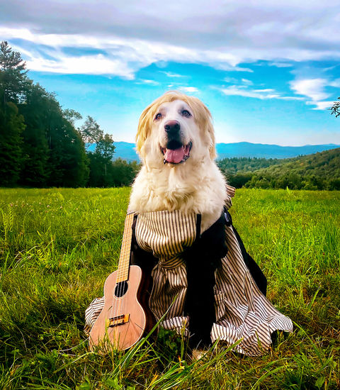 Julie Andrews Blinky 1.jpg