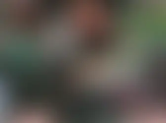 Rizwan retired out as Renegades lose to Thunder