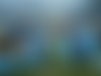 India U17 football team beat Iran 2-1:Qualify for Asian Cup 2026; will participate in the tournament for the 10th time