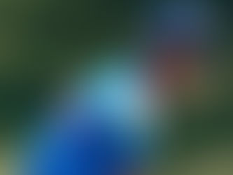 কাজে এল না দ্রাবিড়-পুত্র অন্বয়ের ৬৭ বলে ৮৭ রানের ইনিংস, শ্রীলঙ্কার ছোটদের কাছে ভারতের অনূর্ধ্ব-১৯ দল হারল ৮ উইকেটে
