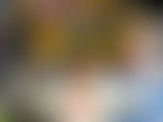 Ashes 2025 | Australia’s dynamic plan for Travis Head: Middle-order in first innings, opening in the second innings