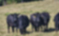 20240908_155757_edited.jpg