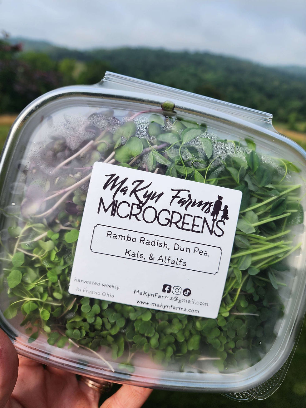 Thumbnail: Large Mixed Microgreen Box