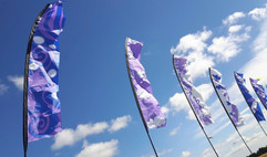 Flight Flags 2016.jpeg