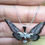 Miniature : Collier papillon pampille