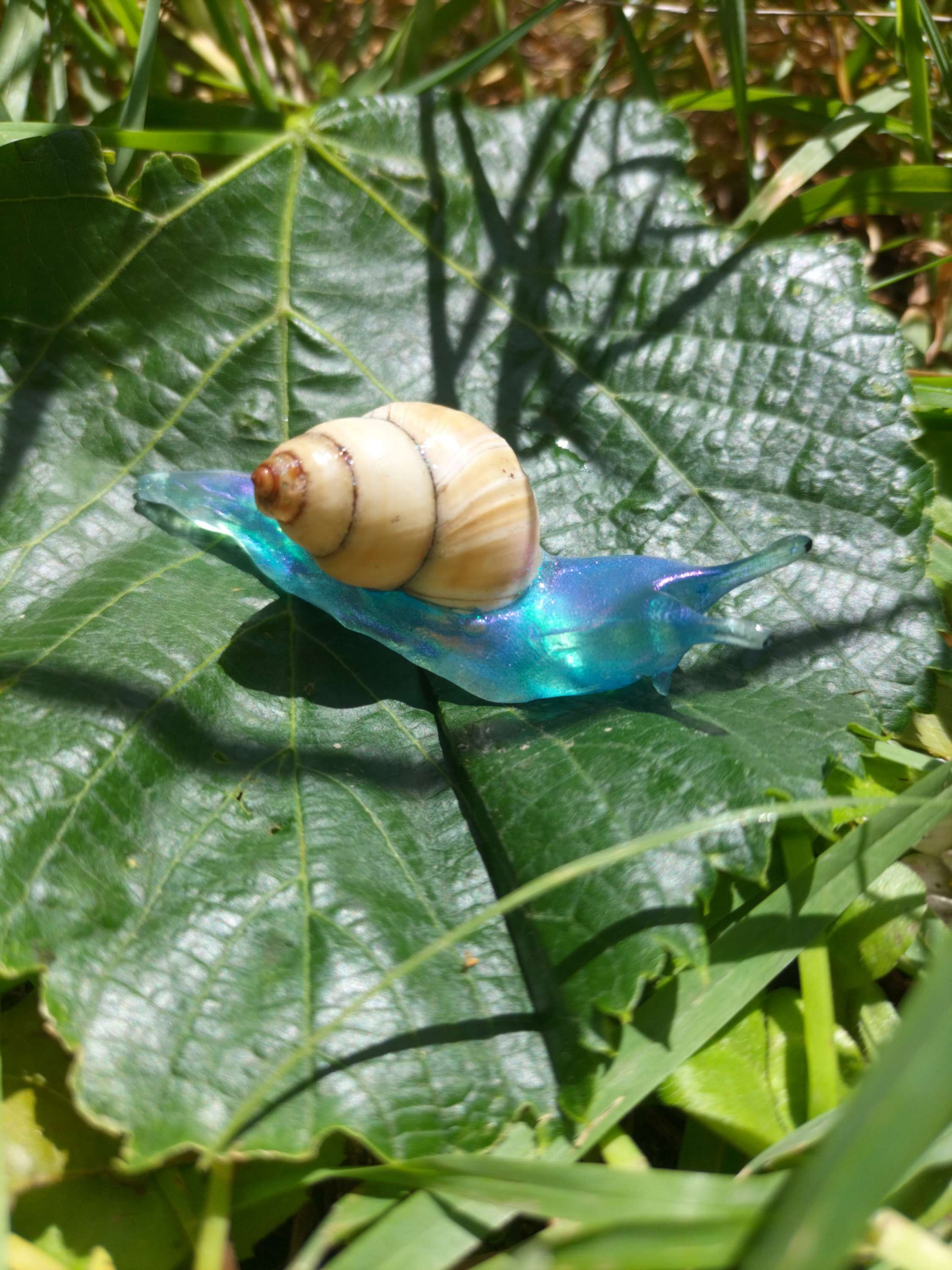 Escargot bleu