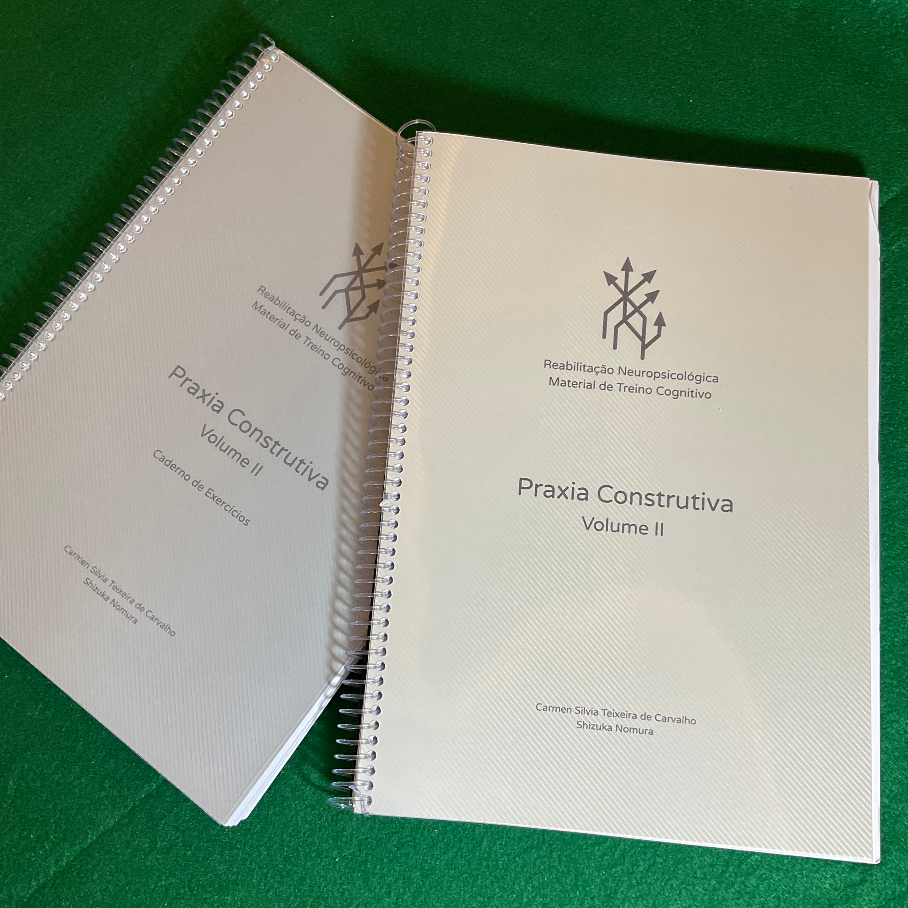 Praxia Construtiva II