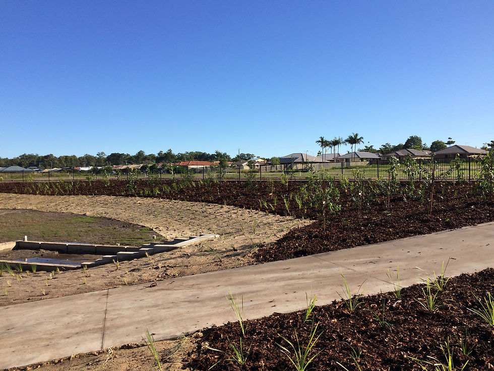 Council Mass Planting