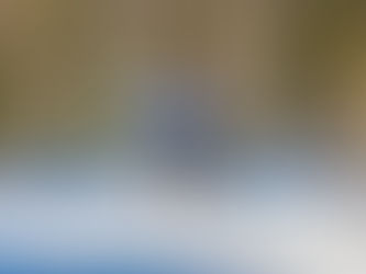 Лыжные гонки