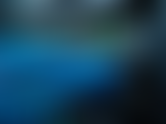 Expert Network Cabling Solutions by Desert Computer Solutions in Gilbert Arizona