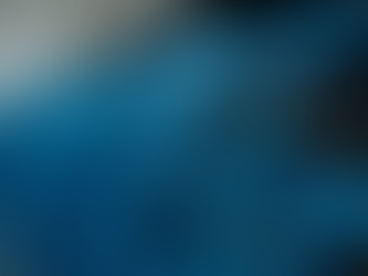 Enhancing Connectivity with Expert Data Cabling Services from Desert Computer Solutions in Scottsdale