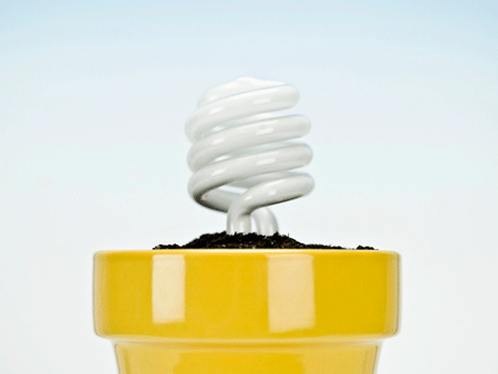 CFL Bulb in a pot of dirt