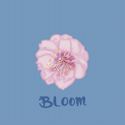 IMG_0015.GIF
