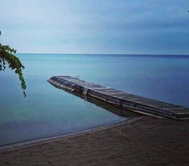 Letter from BOD, February 2024