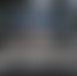 Rats in Ada County: A Small Problem Turning Into a Big Gap in Idaho’s System