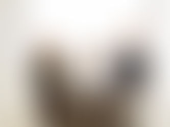 ブログを開設しました