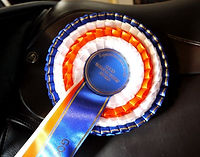 equine award.jpg
